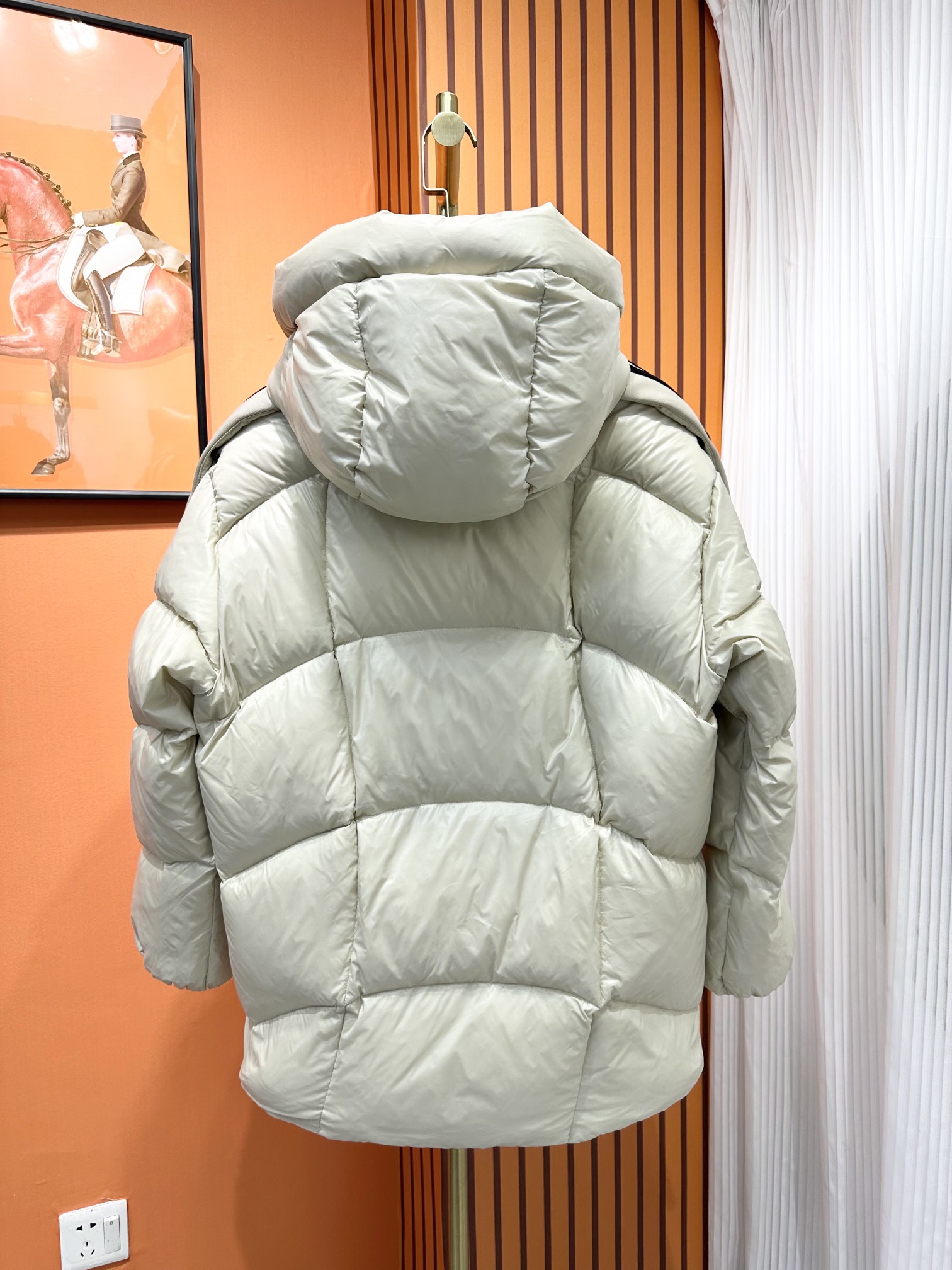 Moncler Down Jackets